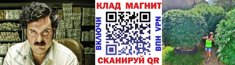 Виды наркотиков купить Козловка КОКАИН  Марихуана  Меф мяу мяу  Псилоцибиновые грибы  omg сайт  ГАШ 