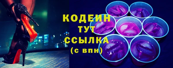 гидра Арсеньев