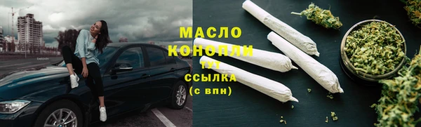 гидра Арсеньев