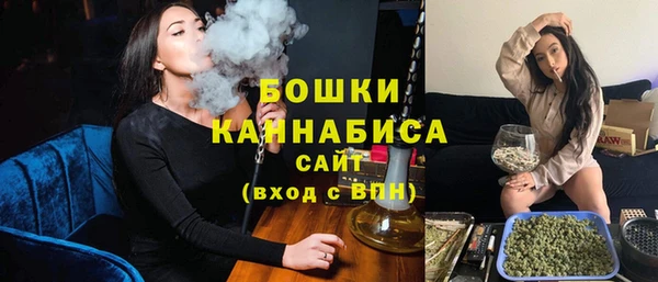 гидра Арсеньев