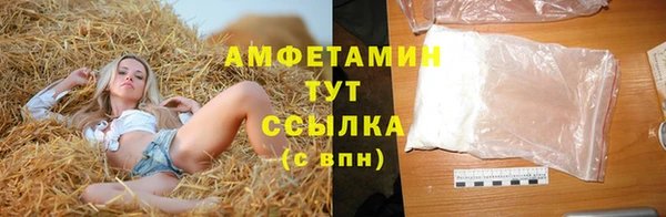 гидра Арсеньев