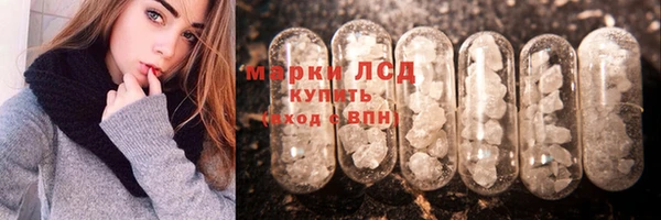 гидра Арсеньев