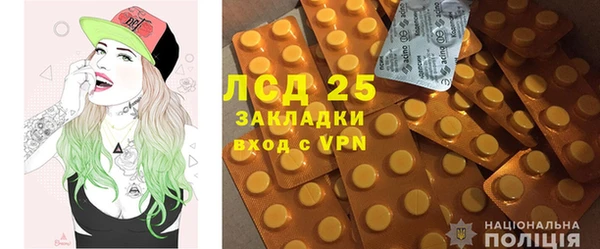 ГАЛЛЮЦИНОГЕННЫЕ ГРИБЫ Армянск